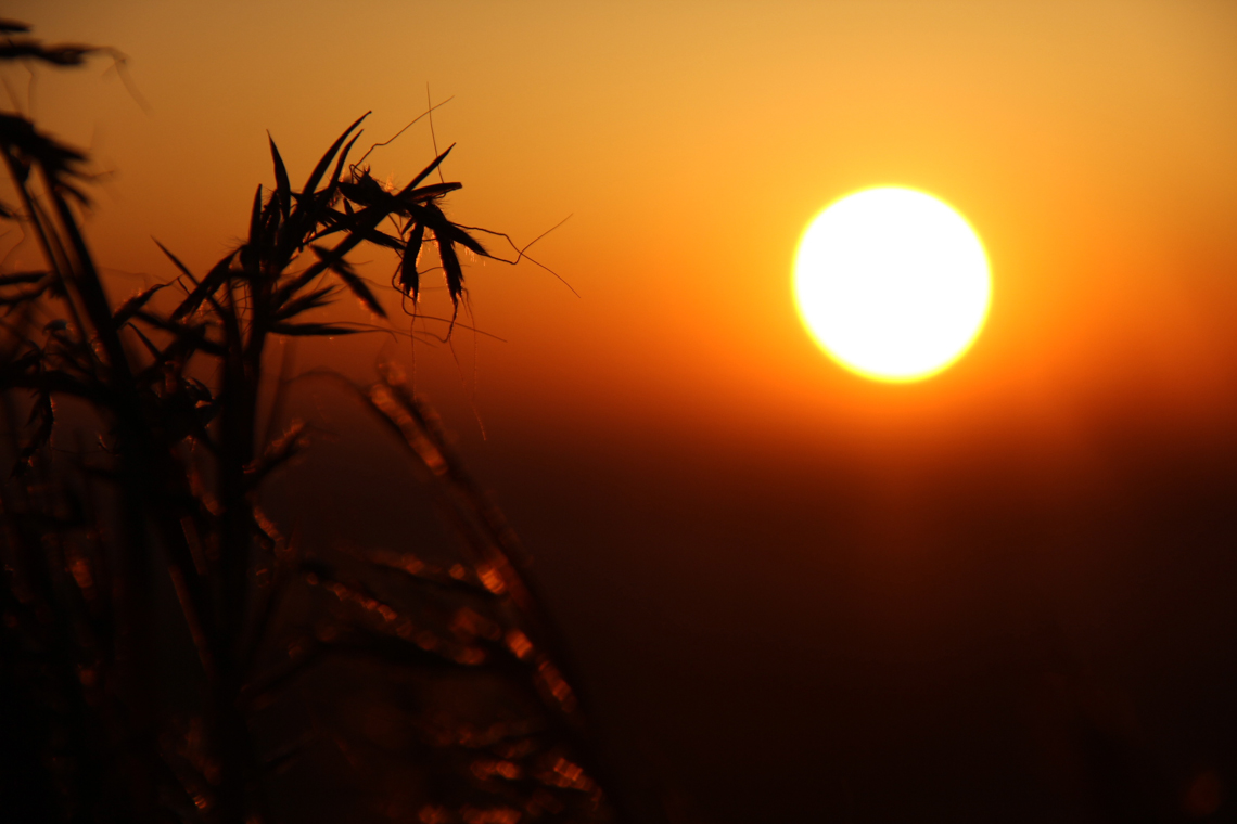 Johannesburg Sunrise
