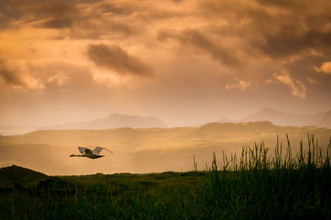 Iceland 2016-268